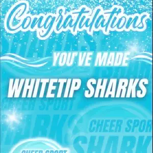 whitetipsharks23.24