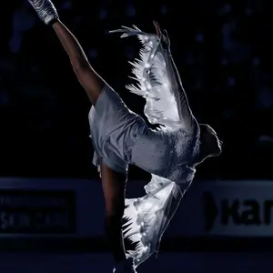 fan_figur_skating