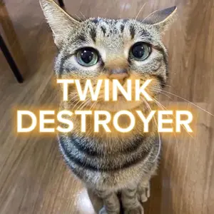 twink.destroyer