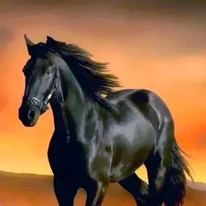 dark.horse961