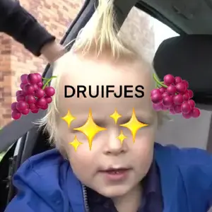 de.druifjes53