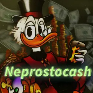 neprostocash480