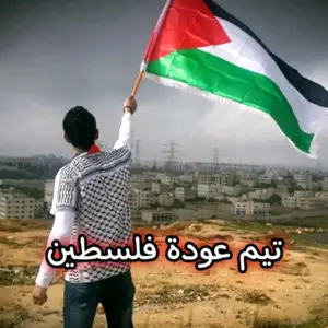 palestinian7975