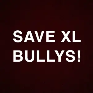 save.xl.bullys1