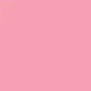 pink.thoughts949